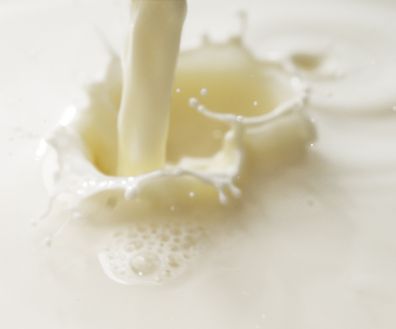 Объём реализации молока в сельхозорганизациях вырос на 2,1%