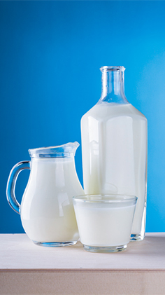 Как построить успешный бизнес молочного предприятия?