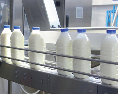 Молочный ответ. К 2024 году на Южном Урале в условиях санкций планируют  повысить производство молока на 25-30 тысяч тонн