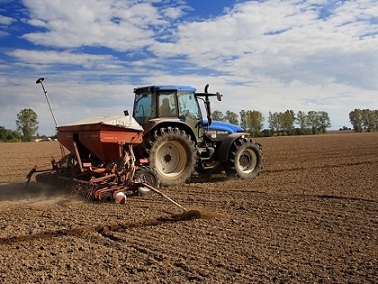 Ульяновские хлеборобы посеяли 44 тыс. га пшеницы