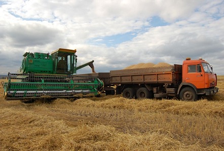 Красноярские аграрии получили «зерновые» субсидии