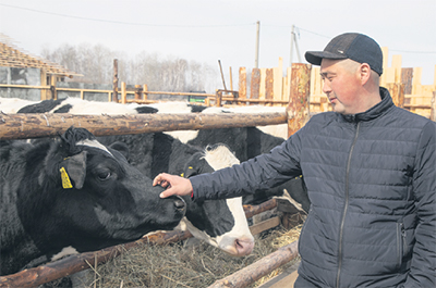 От телятника до крупной фермы или «Агростартап» как точка роста Исетский фермер развивает на селе молочное животноводство