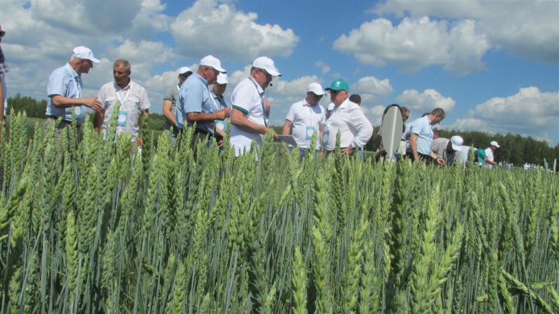 Аграрии Уральского ФО узнали секреты урожайности в образцовом хозяйстве