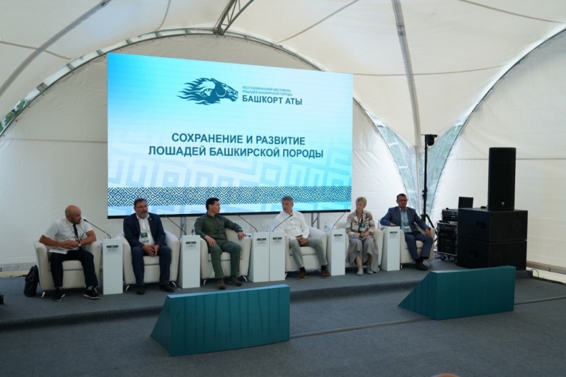 В Башкирии хотят создать НИИ башкирской лошади