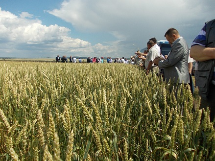 В Томской области стартует агрономический форум «День поля»