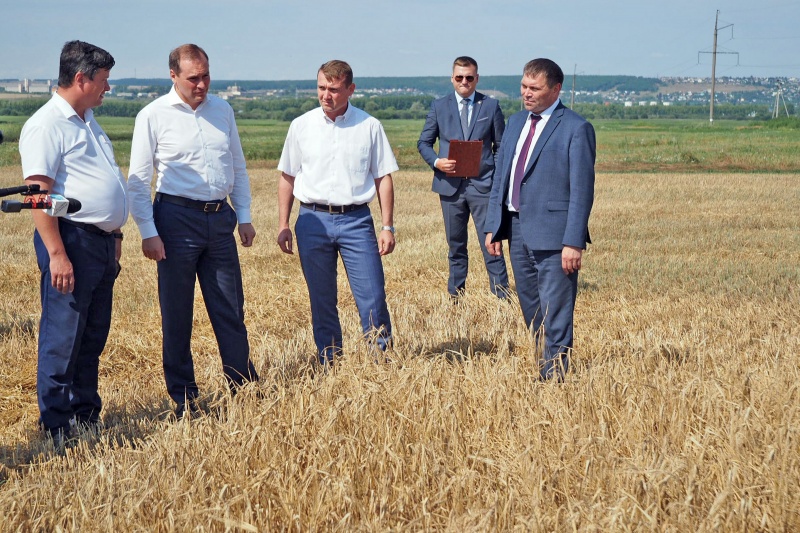 В Мордовии убрано около 40% площадей зерновых