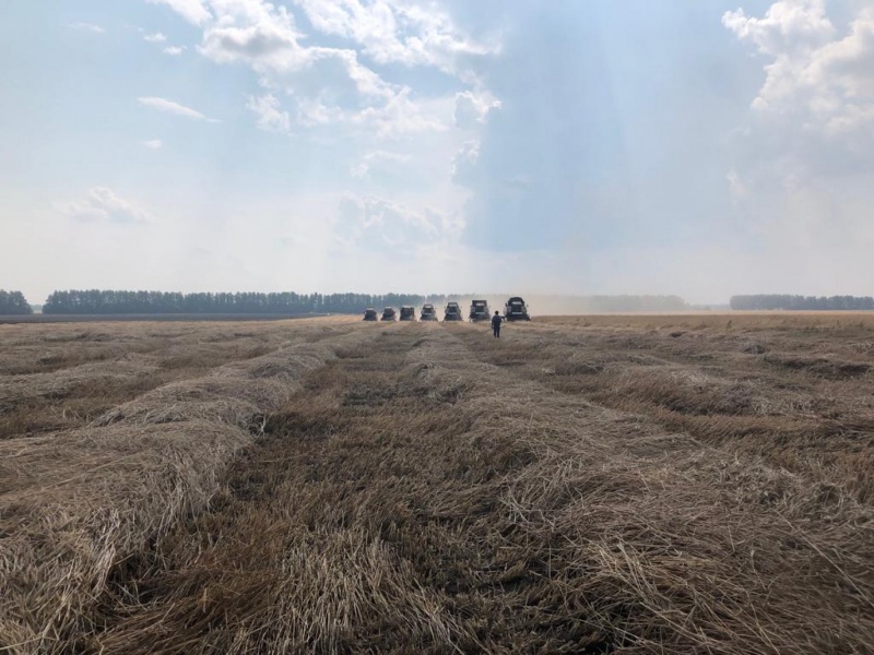 Урожай в Башкортостане радует во всех районах