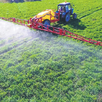 О необходимости соблюдения регламента применения пестицидов