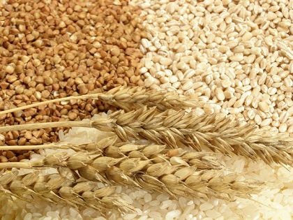 В Нижегородской области перевыполнен план по производству зерна