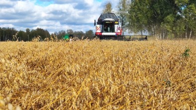 Аграрии Кузбасса добиваются рекордной урожайности