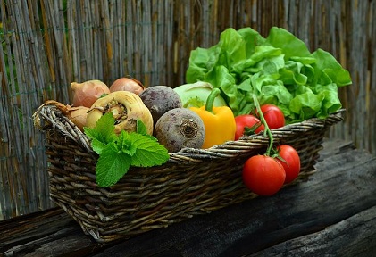 В России собрано более 3,3 млн тонн овощей