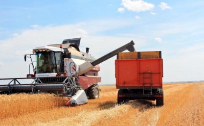 В Новосибирской области намолотили более 3 млн тонн зерна