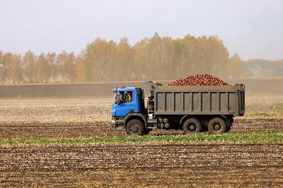 В Саратовской области обмолочено 2 тыс. га зерновых