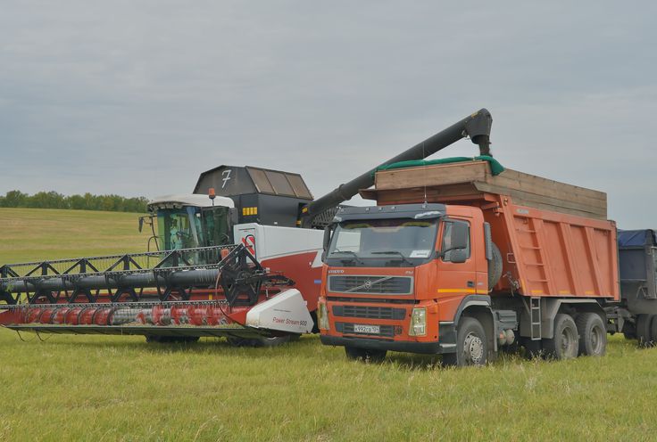 Хлеборобы Красноярского края намолотили 2 млн тонн зерна
