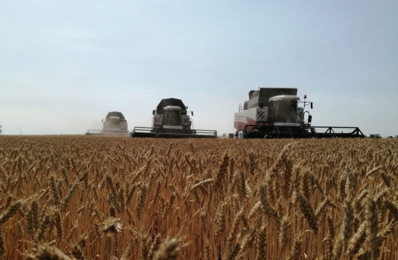 В Башкортостане собрано более 5 млн тонн зерна
