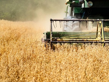 В Чувашии близится к завершению уборка зерновых