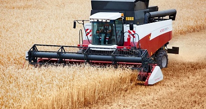 В Чувашии урожай зерновых достиг исторического максимума