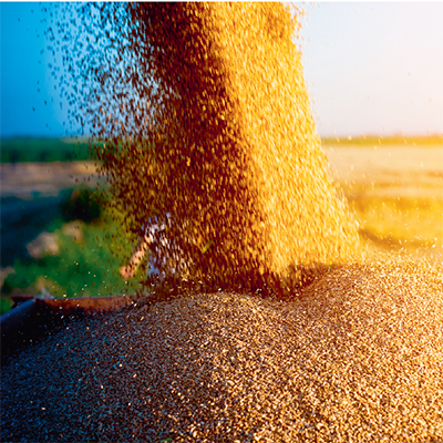 Совместимы ли двухлетняя засуха и прибыльное производство зерна? (на примере степной зоны Челябинской области)
