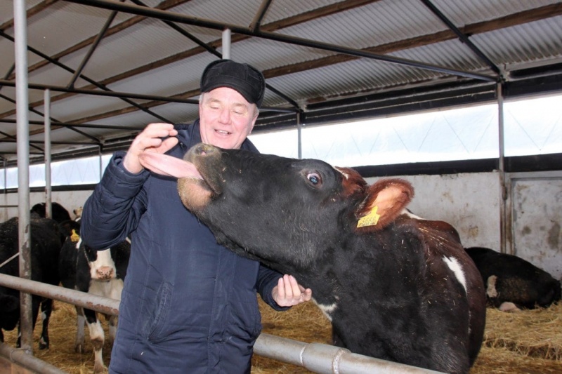 В Самарской области строятся новые молочные фермы