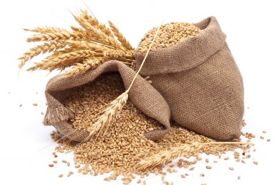 Аграрии Башкирии реализовали более 127 тыс. т зерна в госфонд