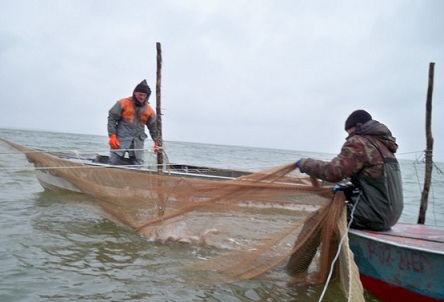 В Челябинской области могут открыть водоем для рыбаков