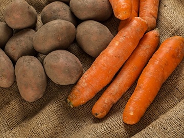 Поддержку производства картофеля и овощей удвоят