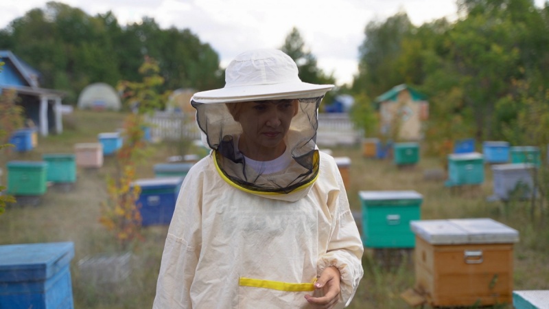 Башкирские пчеловоды получили 14,5 млн рублей господдержки