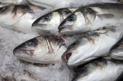 Казахстан будет экспортировать рыбную продукцию в Европу