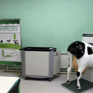 В Томске откроют учебный центр молочного животноводства