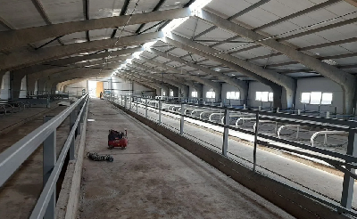 В Саратовской области строятся новые молочные фермы