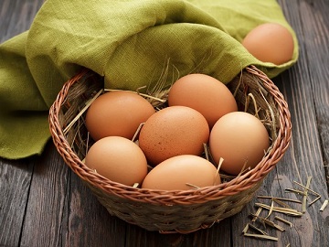 В Ульяновской области выросло производство яиц