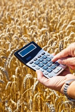 Продавать зерно в интервенционный фонд станет в два раза выгодней