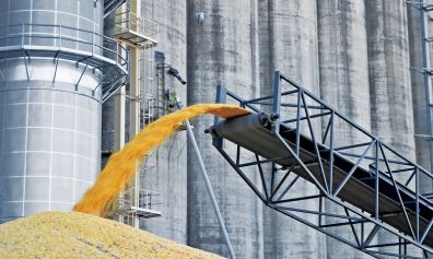 В России темпы экспорта зерна сократились