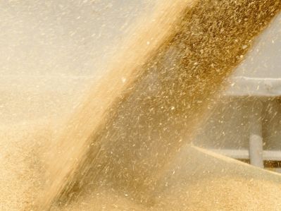Машины и технология для послеуборочной обработки зерна