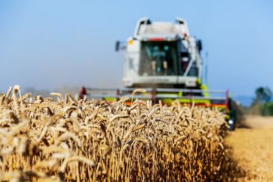 Для зауральских аграриев ростсельмашевская техника подешевеет на 25%