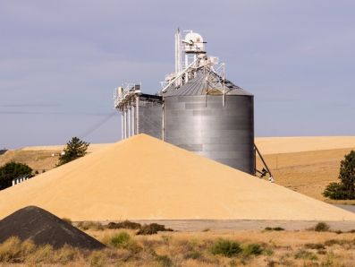 В Челябинской области будут собирать белорусские зерносушильные комплексы