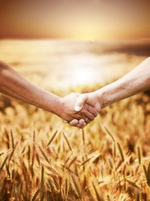 В Зауралье и Тюменской области рассмотрели перспективы создания зерновой корпорации