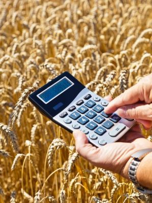 Отменена экспортная пошлина на пшеницу