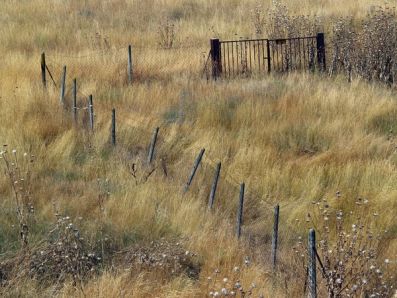 Челябинская область предлагает ужесточить закон об обороте сельхозземель