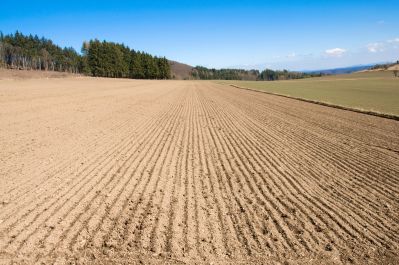 Точное земледелие: практика внедрения и перспективы