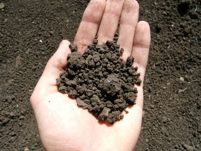 В Новосибирской области выявили загрязнение почвы