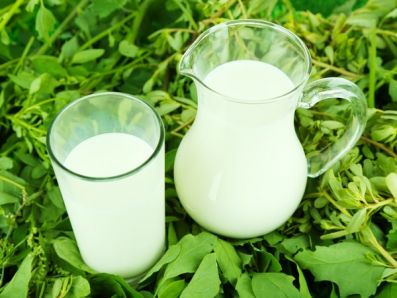 В сельхозорганизациях России производство молока выросло на 2,1%