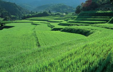 Экономика и сельское хозяйство Японии
