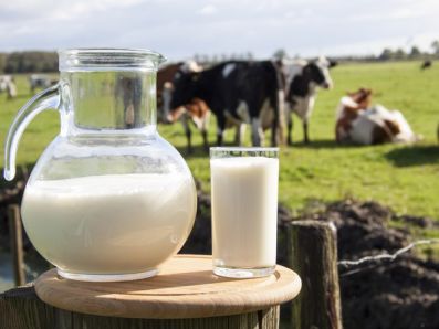 В Свердловской области выросло производство молока, яиц и мяса