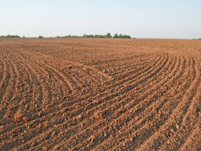 Агрохимическая характеристика дерново-подзолистой почвы под озимой пшеницей