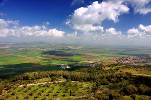 Экономика и сельское хозяйство Израиля