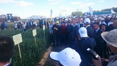 Президент Татарстана Рустам Минниханов посетил выставку «Международные дни поля в Поволжье»