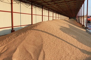 Складские помещения для хранения товарного зерна, зернопродуктов и семян: классификация и типы