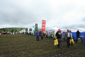 Областной День поля состоялся в Свердловской области