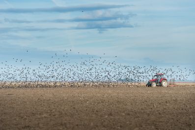 В Ульяновской области ускоряют темпы подготовки к весенне-полевым работам